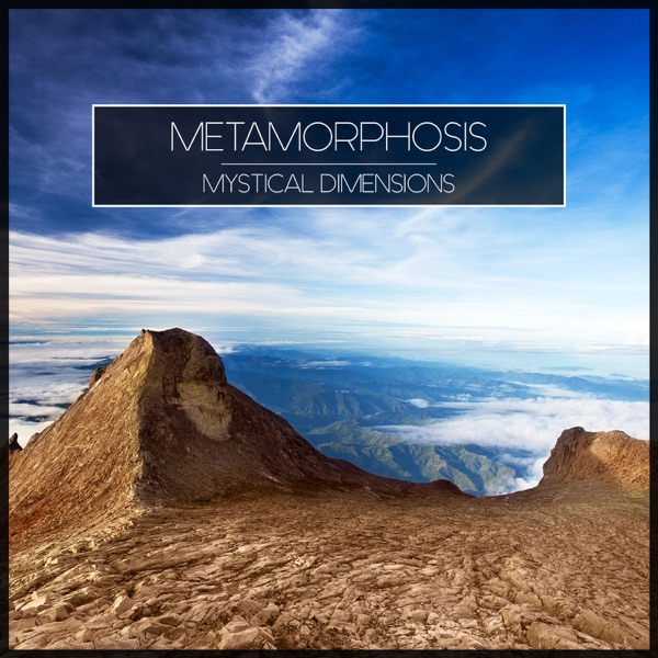 Metamorphosis - Spinning the Consciousness