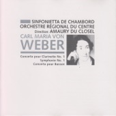 Clarinet Concerto No. 1 in F Minor, Op. 73, J. 114: I. Allegro artwork