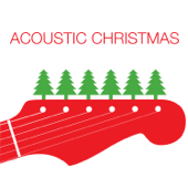 Acoustic Christmas - Various Artists