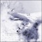 Avalanche (Acoustic Session) - Stateless lyrics