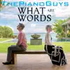 What Are Words (feat. Peter Hollens & Evynne Hollens) - Single album lyrics, reviews, download