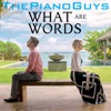 What Are Words - Single (feat. Peter Hollens & Evynne Hollens) - Single