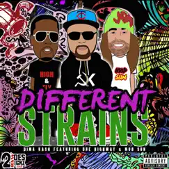 Different Strains (feat. Dre Highway & Mod Sun) Song Lyrics