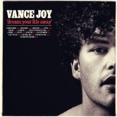 Fire and the Flood by Vance Joy