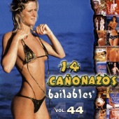 14 Cañonazos Bailables, Vol. 44 artwork