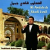 Shadi Jamil - Jawazouha Khatife