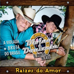 Divino e Donizete - A Viola e a Paixão