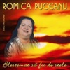 Romica Puceanu - Doi Tovarasi Am La Drum