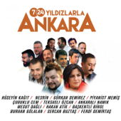 7/24 Yıldızlarla Ankara - Various Artists