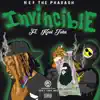 Invincible (feat. Kool John) song lyrics