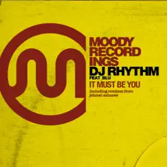 It Must Be You (feat. Blu) - EP by DJ Rhythm album reviews, ratings, credits