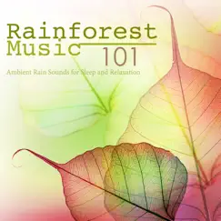Rainforest Music 101 - Free Your Mind & Relax Better with Ambient Rain Sounds for Sleep and Relaxation by Rainforest Music Lullabies Ensemble album reviews, ratings, credits
