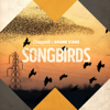 Songbirds - EP - Ben Cocks