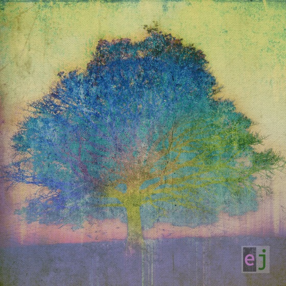 Cover artwork for One Rainy Wish