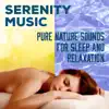 Serenity Music: Pure Nature Sounds for Sleep and Relaxation, Spa Massage, Soft Instrumental Music for Inner Peace, Cure for Insomnia, Deep Sleep REM Inducing album lyrics, reviews, download
