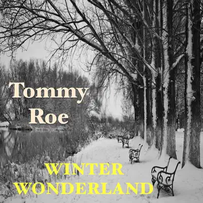 Winter Wonderland - Single - Tommy Roe