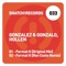 Format It (Ron Costa Remix) - Hollen, Gonzalez & Gonzalo lyrics