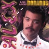 Los Años Dorados, 1995
