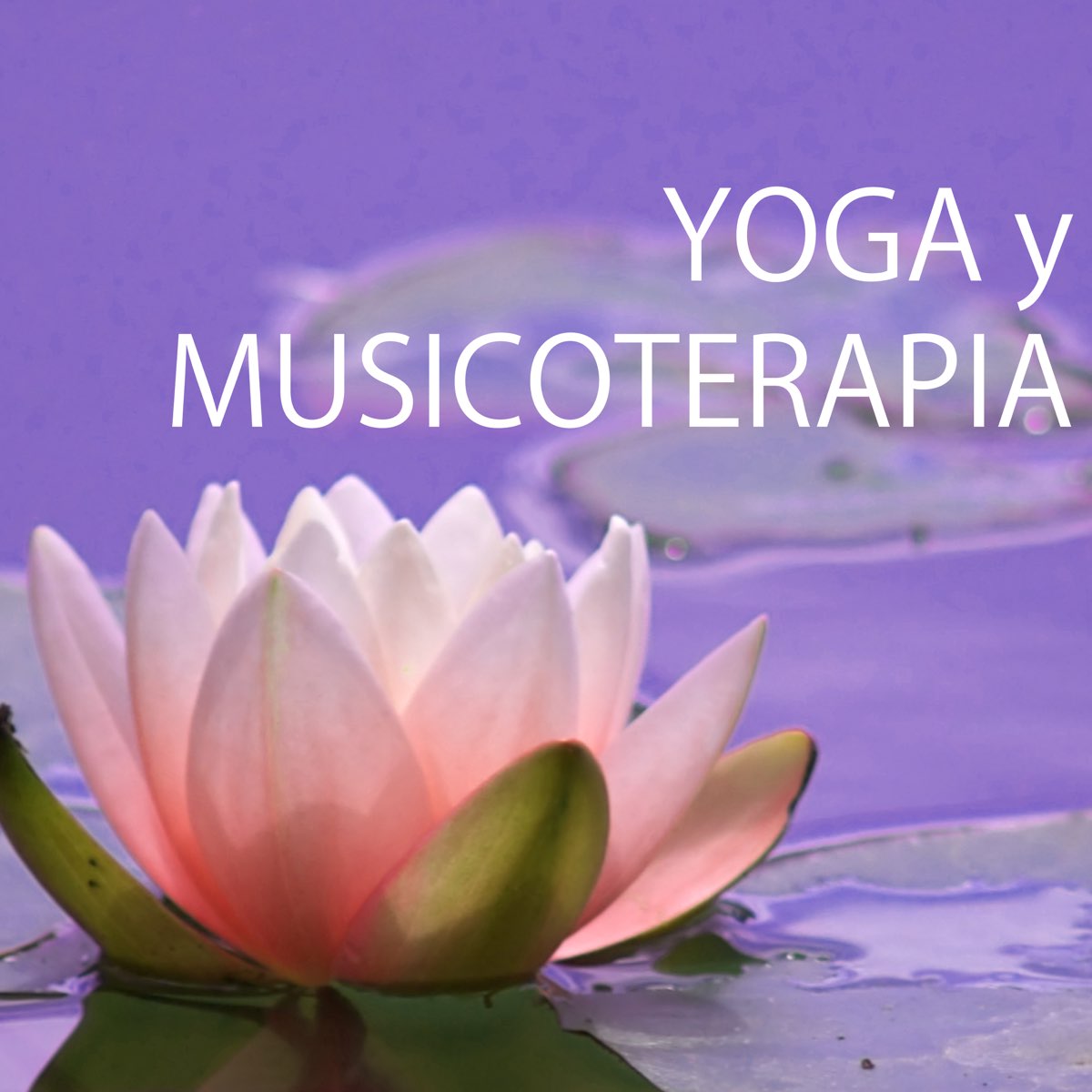 Yoga y Musicoterapia - Las Mejores Canciones Relajantes de Relajamiento  Profundo y Meditación de Atención Plena de Musica de Yoga en Apple Music