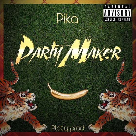 Cover artwork for Partymaker