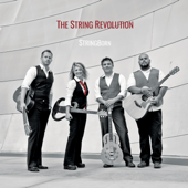 Stringborn - The String Revolution