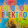 Color of Elektro Vol. 1