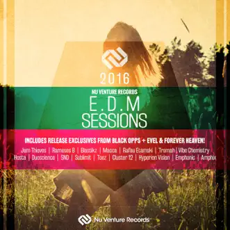 Nu Venture Records: EDM Sessions 2016 by Various Artists album reviews, ratings, credits