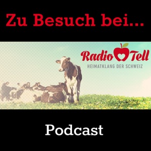 Zu Besuch bei Joe Wiget, Teil 2