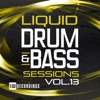 Liquid Drum & Bass Sessions, Vol. 13, 2016