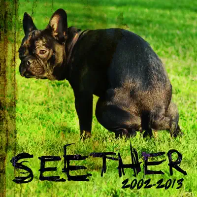 Seether: 2002 - 2013 - Seether