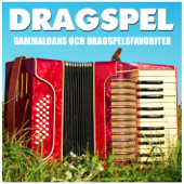 Dragspel - Various Artists