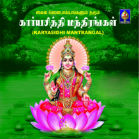 M. Balamurali Krishna, Vani Jayram & P. B. Srinivas - Karyasidhi Mantrangal artwork