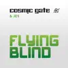 Stream & download Flying Blind (Remixes) - Single