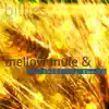 Mellow Mule and the Sweet Tea Summer album lyrics, reviews, download