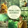 111 Healing Sounds: Buddhist Meditation Music - Deep Zen Ambient, Nature Songs and Relaxing Tracks for OM Chanting, Prayer of Strength and Spiritual Connection album lyrics, reviews, download