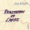 Exaltation of Larks, 2007