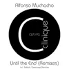 Until the End (Remixes) - Single album lyrics, reviews, download