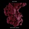 Novi - Wess, Galoski & Metrush lyrics