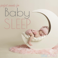 Little Ones - Perfect Sounds for Baby Sleep artwork