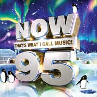 Various Artists - NOW That's What I Call Music! 95 artwork