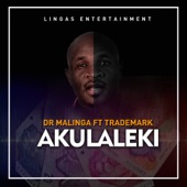 Akulaleki (feat. Trademark) artwork