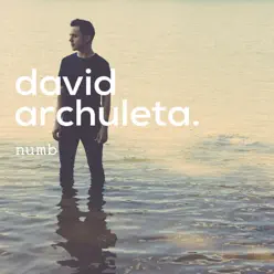 Numb - Single - David Archuleta