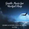 Gentle Music for Restful Sleep: Calming & Soothing Songs for Trouble Sleeping, Ambient Music Therapy, Healing Sounds of Nature and Music for Deep Sleep, Relax album lyrics, reviews, download