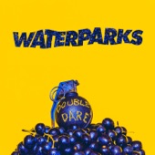 Waterparks - Stupid for You