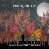 Blues in Different Colours artwork