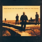 Frank Black & The Catholics - I've Seen Your Picture