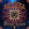 Kalinka - Single