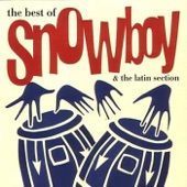 The Best of Snowboy artwork