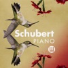 Schubert Piano, 2016