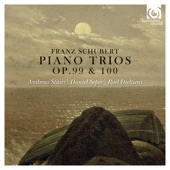 Piano Trio in E-Flat Major, D. 929, Op. 100: II. Andante con moto artwork